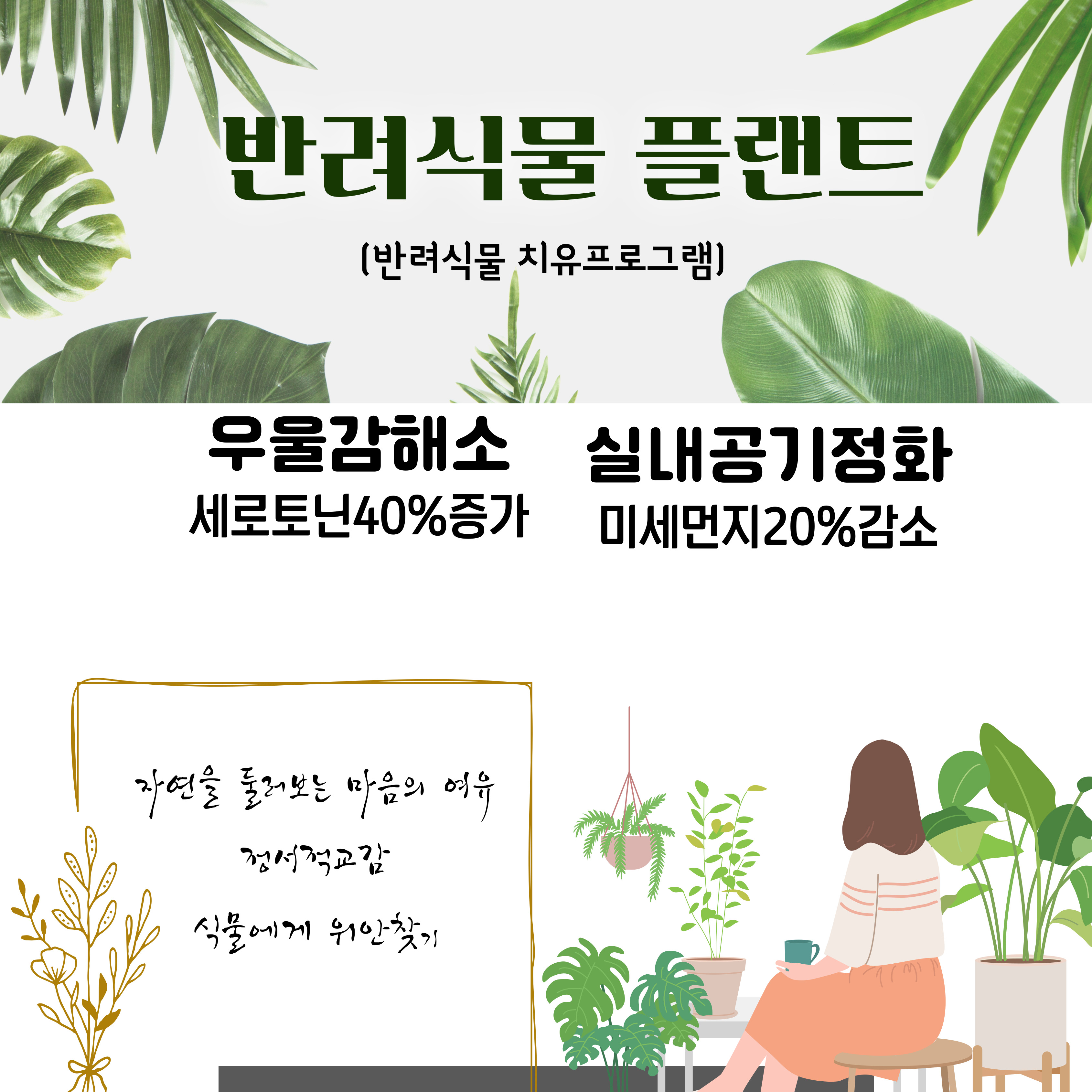 반려식물 플랜트 (반려식물 치유프로그램) 우울감해소 세로토닌 40%증가 실내공기정화 미세먼지 20%감소 자연을 둘러보는 마음의 여유 정서적 교감 식물에게 위안찾기